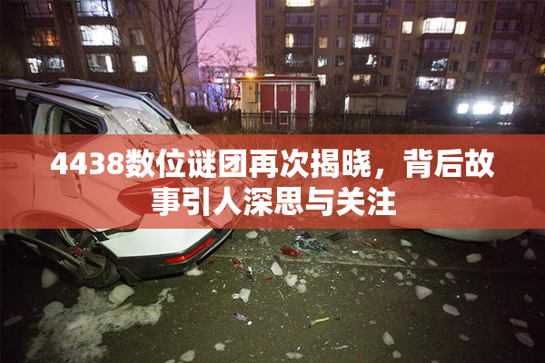 4438数位谜团再次揭晓，背后故事引人深思与关注