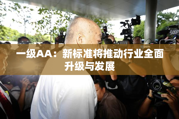 一级AA：新标准将推动行业全面升级与发展