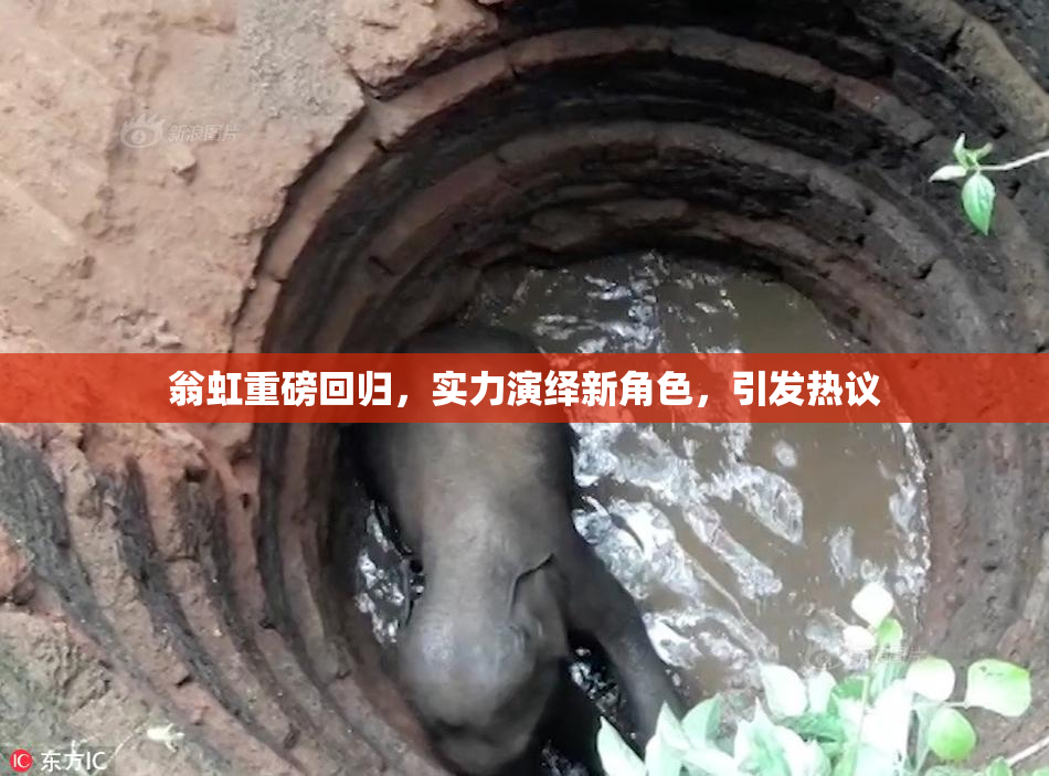 翁虹重磅回归，实力演绎新角色，引发热议