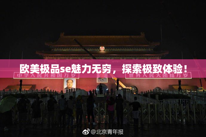 欧美极品se魅力无穷，探索极致体验！