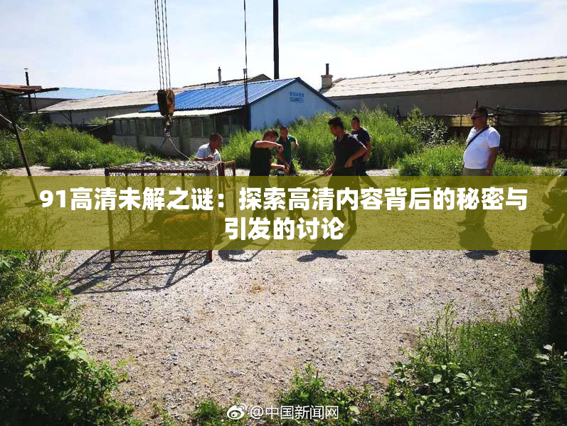 91高清未解之谜：探索高清内容背后的秘密与引发的讨论