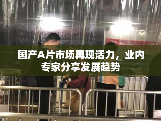国产A片市场再现活力，业内专家分享发展趋势
