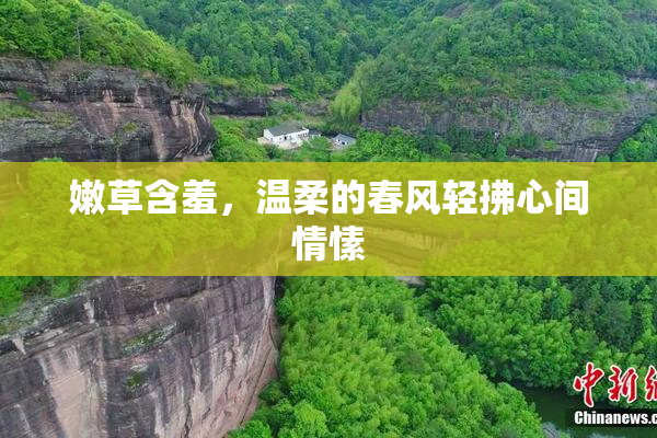 嫩草含羞，温柔的春风轻拂心间情愫