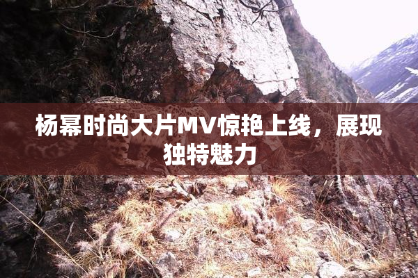 杨幂时尚大片MV惊艳上线，展现独特魅力