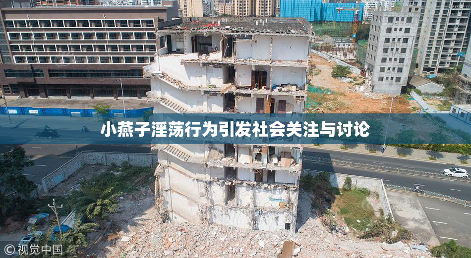小燕子淫荡行为引发社会关注与讨论