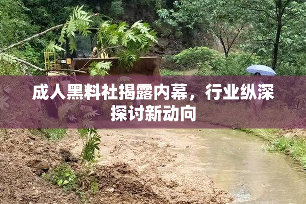 成人黑料社揭露内幕，行业纵深探讨新动向