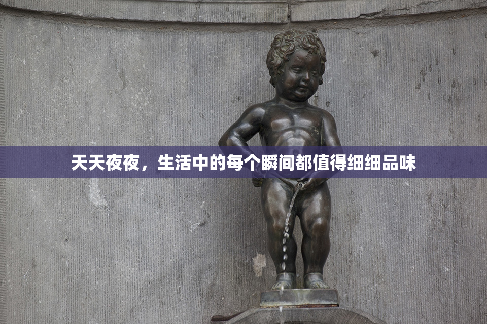 天天夜夜，生活中的每个瞬间都值得细细品味