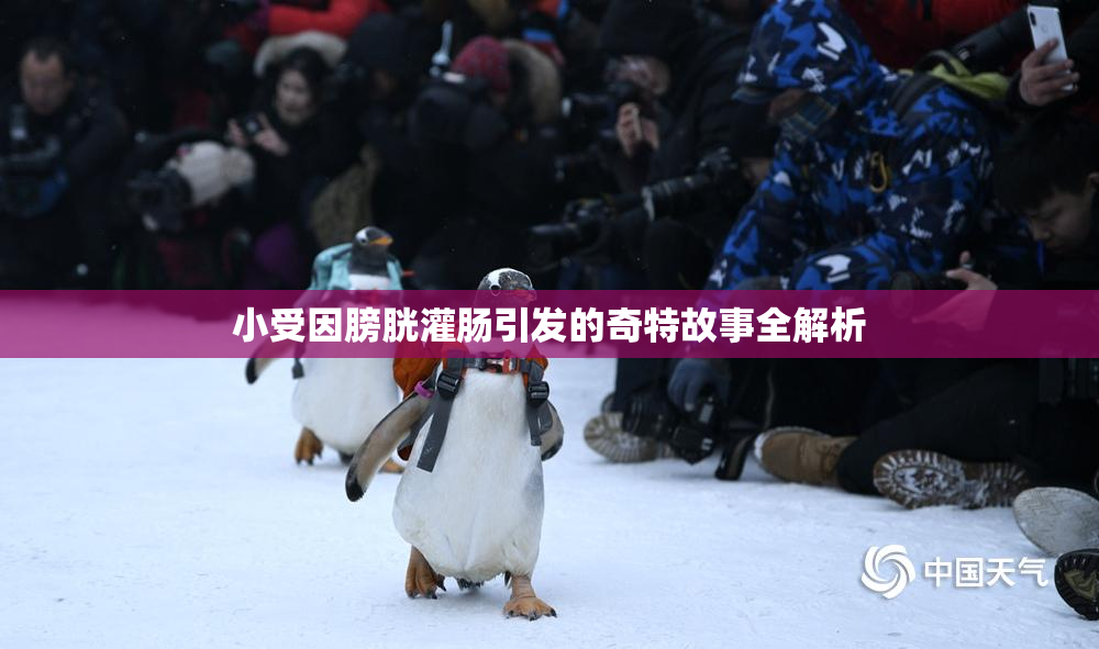 小受因膀胱灌肠引发的奇特故事全解析