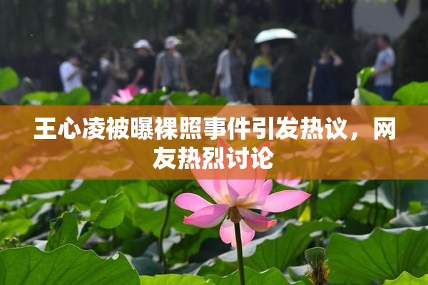 王心凌被曝裸照事件引发热议，网友热烈讨论