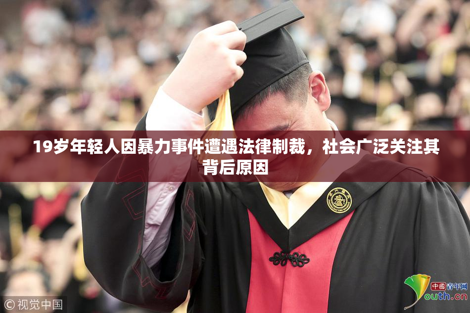 19岁年轻人因暴力事件遭遇法律制裁，社会广泛关注其背后原因