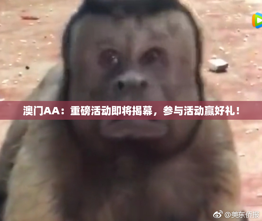 澳门AA：重磅活动即将揭幕，参与活动赢好礼！