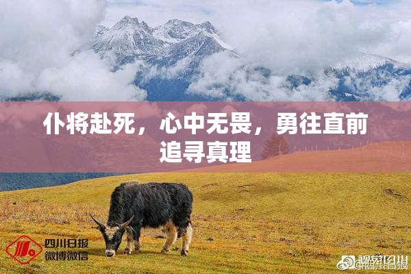 仆将赴死，心中无畏，勇往直前追寻真理