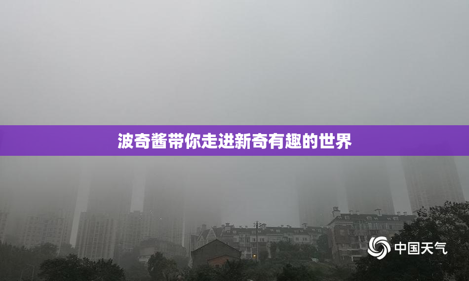 波奇酱带你走进新奇有趣的世界