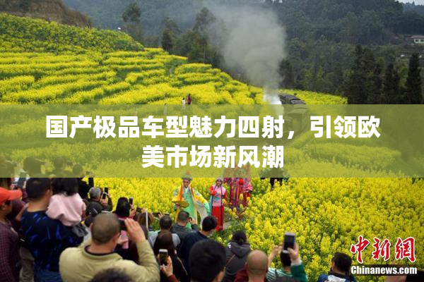 国产极品车型魅力四射，引领欧美市场新风潮