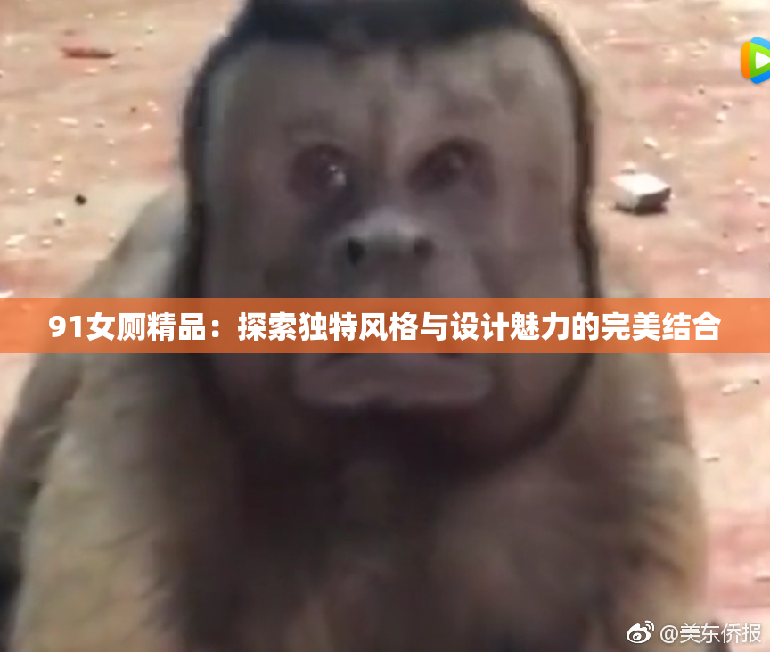 91女厕精品：探索独特风格与设计魅力的完美结合