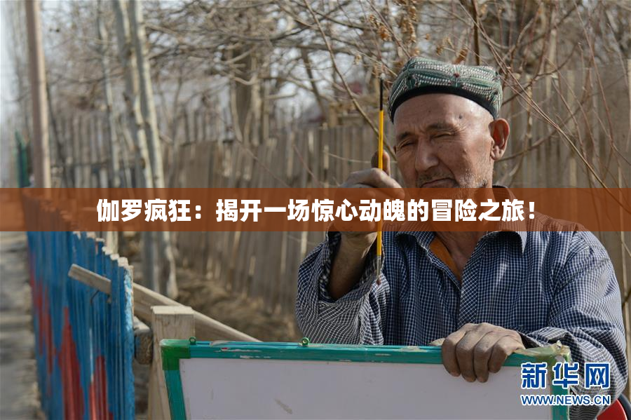 伽罗疯狂：揭开一场惊心动魄的冒险之旅！