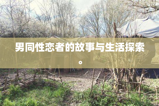 男同性恋者的故事与生活探索。