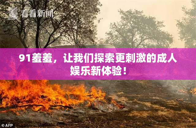 91羞羞，让我们探索更刺激的成人娱乐新体验！