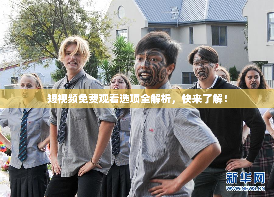 短视频免费观看选项全解析，快来了解！