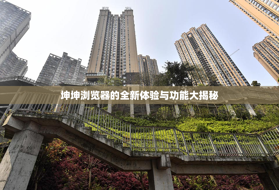 坤坤浏览器的全新体验与功能大揭秘