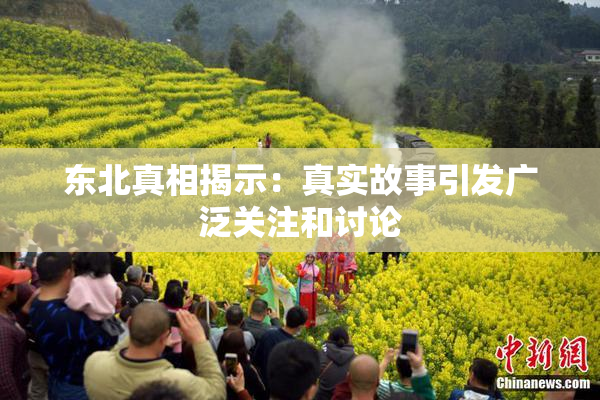东北真相揭示：真实故事引发广泛关注和讨论