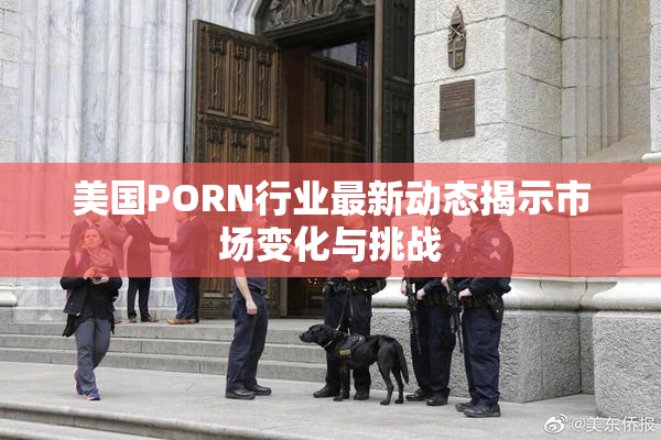 美国PORN行业最新动态揭示市场变化与挑战
