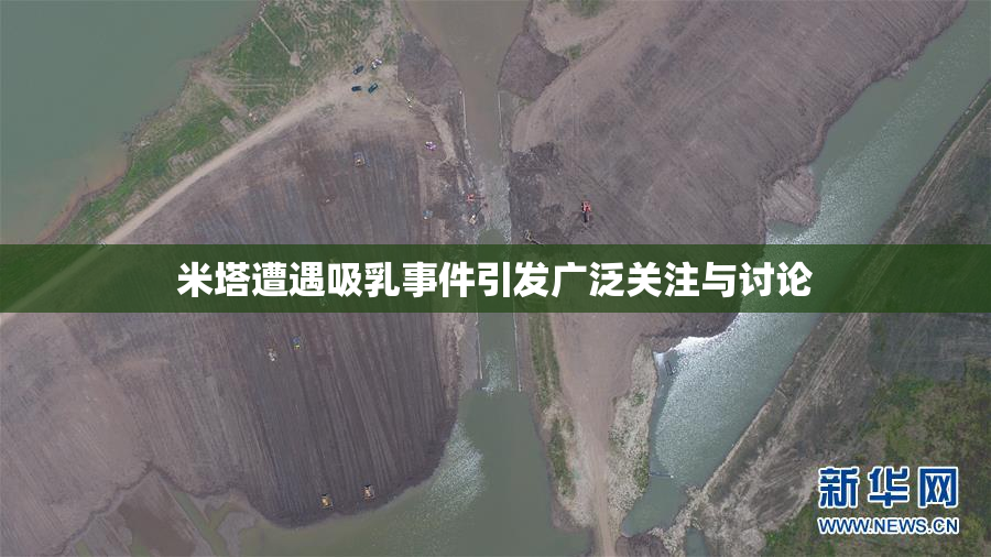 米塔遭遇吸乳事件引发广泛关注与讨论
