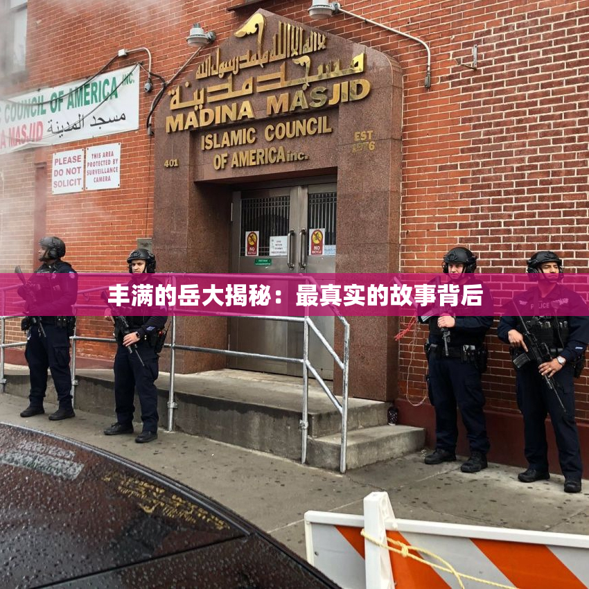 丰满的岳大揭秘：最真实的故事背后