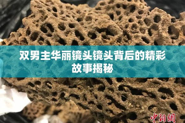 双男主华丽镜头镜头背后的精彩故事揭秘