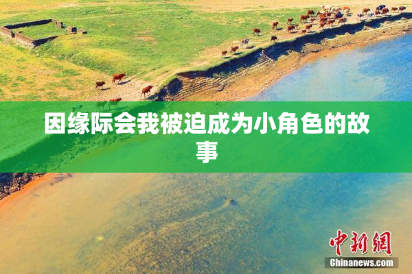因缘际会我被迫成为小角色的故事
