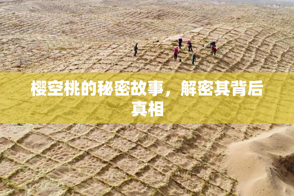 樱空桃的秘密故事，解密其背后真相