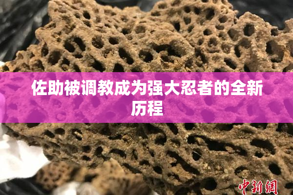佐助被调教成为强大忍者的全新历程