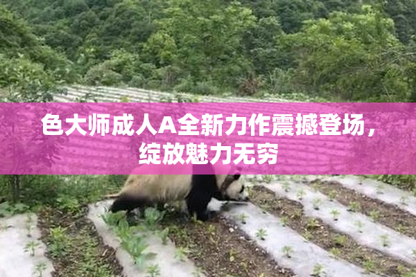 色大师成人A全新力作震撼登场，绽放魅力无穷