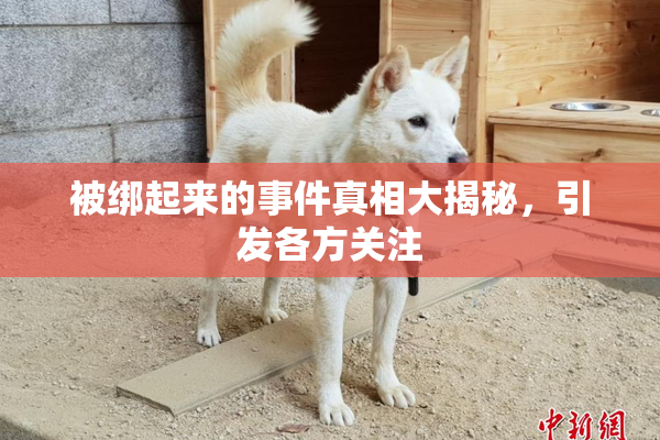被绑起来的事件真相大揭秘，引发各方关注