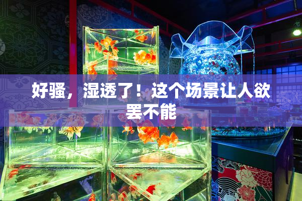 好骚，湿透了！这个场景让人欲罢不能