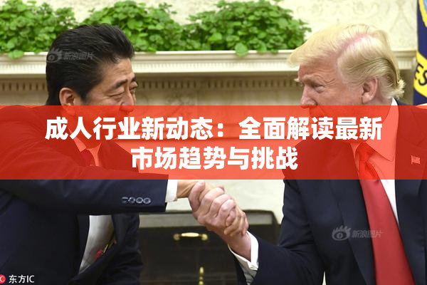 成人行业新动态：全面解读最新市场趋势与挑战