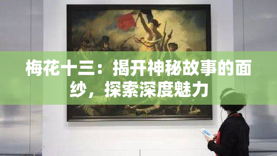 梅花十三：揭开神秘故事的面纱，探索深度魅力
