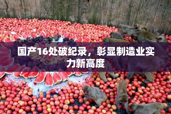 国产16处破纪录，彰显制造业实力新高度