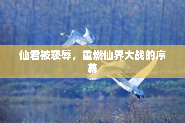 仙君被亵辱，重燃仙界大战的序幕