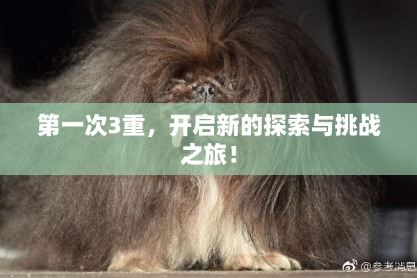 第一次3重，开启新的探索与挑战之旅！