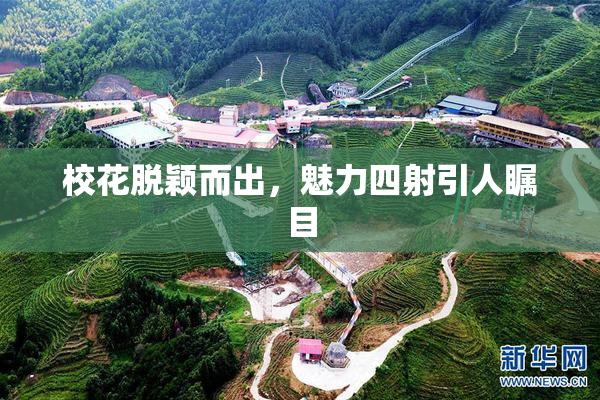 校花脱颖而出，魅力四射引人瞩目