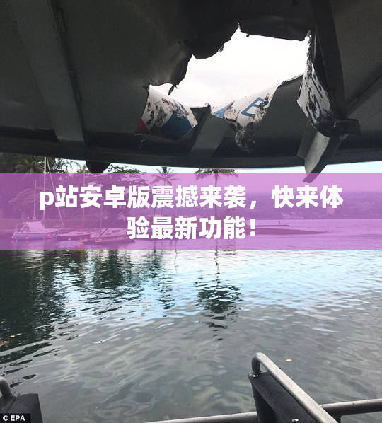 p站安卓版震撼来袭，快来体验最新功能！