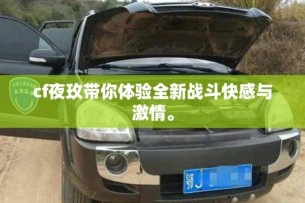cf夜玫带你体验全新战斗快感与激情。