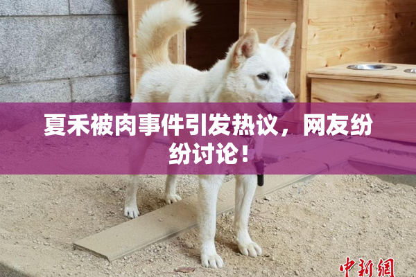 夏禾被肉事件引发热议，网友纷纷讨论！