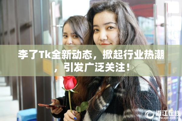 李了Tk全新动态，掀起行业热潮，引发广泛关注！