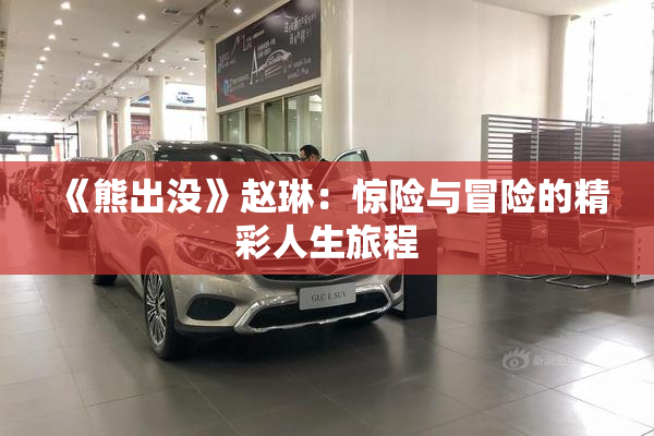 《熊出没》赵琳：惊险与冒险的精彩人生旅程