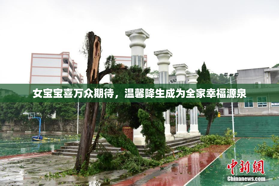 女宝宝喜万众期待，温馨降生成为全家幸福源泉