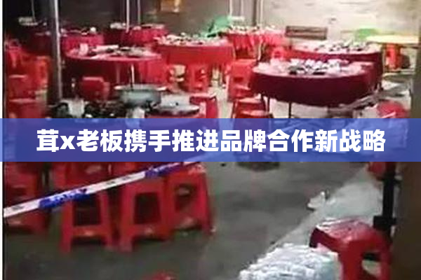 茸x老板携手推进品牌合作新战略