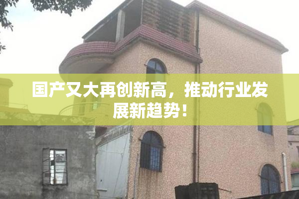 国产又大再创新高，推动行业发展新趋势！