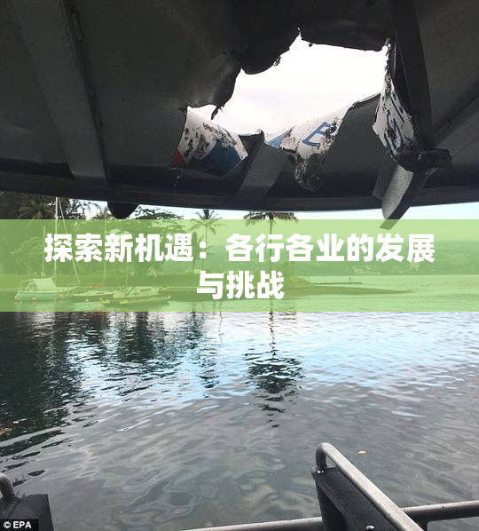 探索新机遇：各行各业的发展与挑战